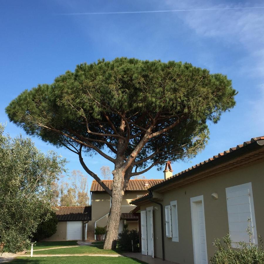 Relais Le Fornacelle Castagneto Carducci Exterior foto